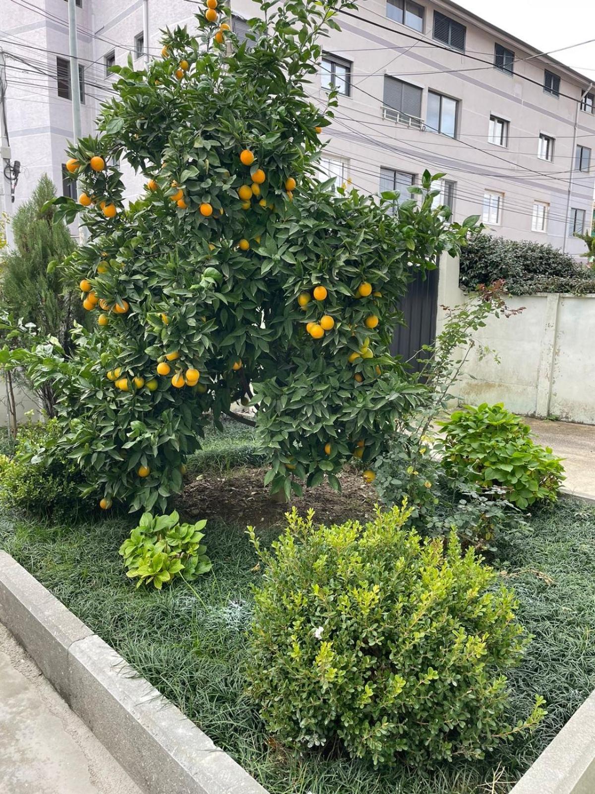Kevi 'S Place Тирана Екстер'єр фото